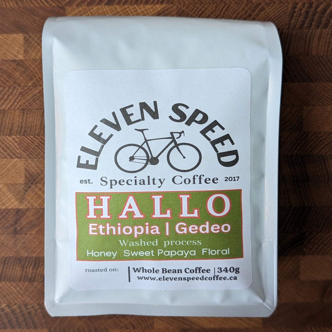 HALLO | ETHIOPIA | GEDEO