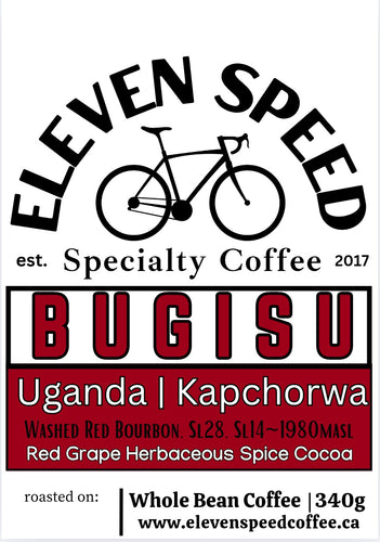BUGISU AA | UGANDA | KAPCHORWA