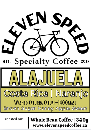 ALAJUELA | COSTA RICA | NARANJO