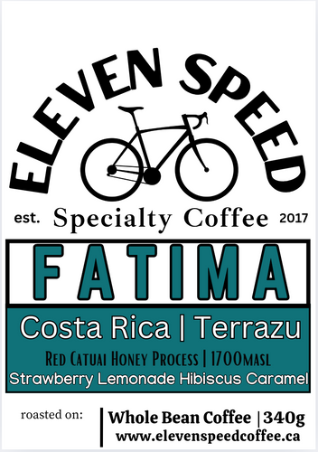 LOS SANTOS FATIMA | COSTA RICA | TARRAZU